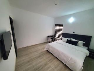 Olfad Shortlet Apartment - Lekki - 6