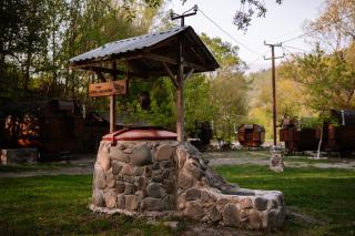 Owl Glamping House DIlijan - Dilijan - 3