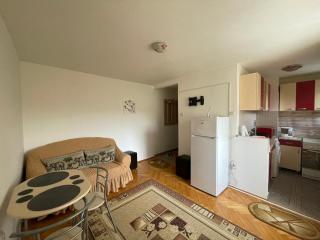Apartment Victoria - Gherla - 8