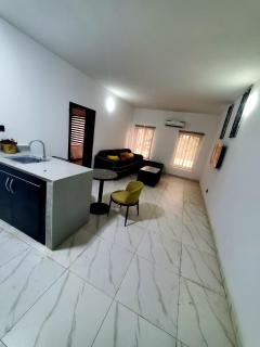 Olfad Shortlet Apartment - Lekki - 8