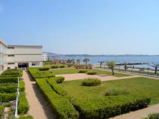 Appartement proche des Thermes - parking et animaux admis - FR-1-503-39 - 2