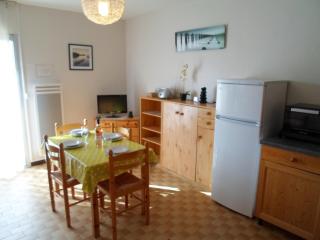 Appartement Confortable proche Thermes avec Balcons et Climatisation à Balaruc-les-Bains - FR-1-503-3 - Balaruc-les-Bains - 2