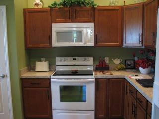 2383 Z3a VILLAGE OF TAMARIND GROVE by REMAX Premier - The Villages - 4