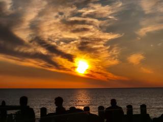The Nest at Strandhill - 1