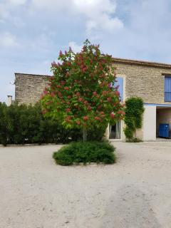 Deuxième gîte du mas - Lagnes - 7