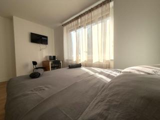 M28 Marquer joli appartement proche de la gare et du centre ville - Annemasse - 5
