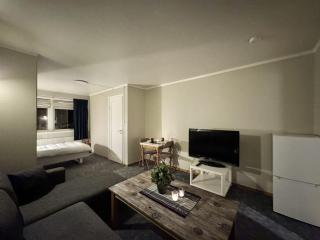 Studio apartment in center of Gol, towels and bed linen included - Gol - 9