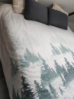 APPARTEMENT FRIZEBOIs - 4