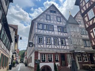 Hotel Schwanen - 0