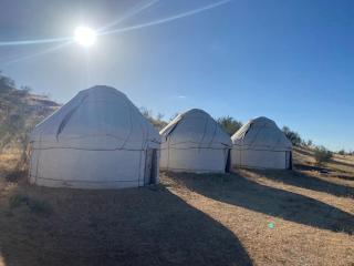 Authentic Uzbek Yurt Camp eco-friendly - Nurota - 7