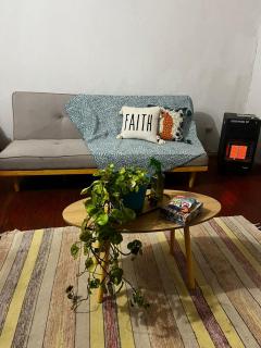 Un trozo de bosque en la ciudad - Santiago - 0