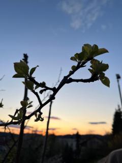 Modernes Kellerstöckl im Südburgenland - 9