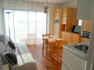 Appartement 2 étoiles proche Thermes, animaux admis - FR-1-503-20 - Balaruc-les-Bains - 4