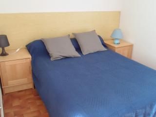 Appartement 2 étoiles proche Thermes, animaux admis - FR-1-503-20 - Balaruc-les-Bains - 2