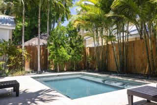 Coconut Palm - Key West - 0