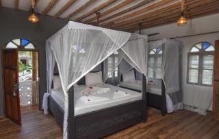 Organic Roots Villa - Jambiani - 4