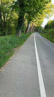 Deniz Can - Limbourg - 1