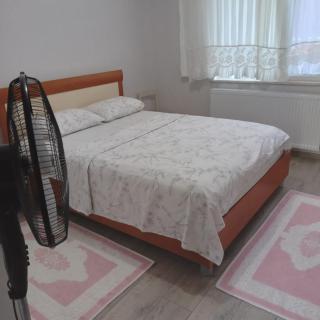 Semiha hanım konağı - Perşembe - 8