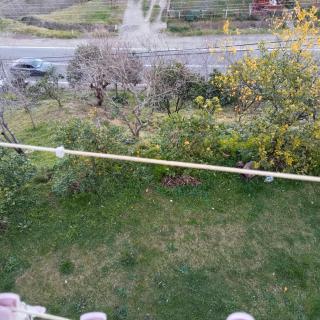 Semiha hanım konağı - Perşembe - 5