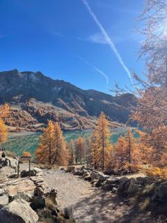 Les balcons du soleil l foux D Allos - - 9