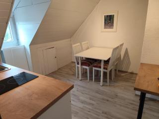 Frisch renovierte Wohnung - Seelze - 2