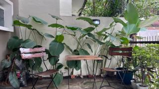 Mofu House - Bandung - 9