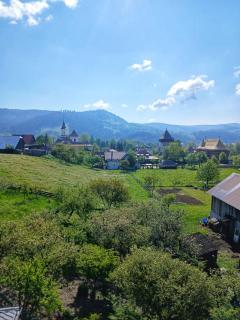 Pensiunea La Bucovina - Mănăstirea Humorului - 8