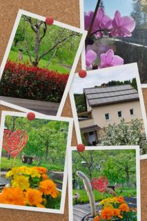 Apartma B & O - Idrija - 8