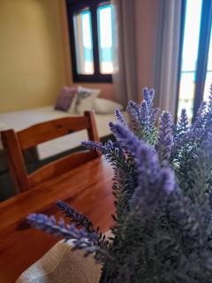 Lavender Apartments - Skala Potamias - 9