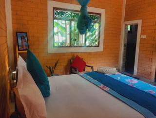 Laliz - Galle - 6