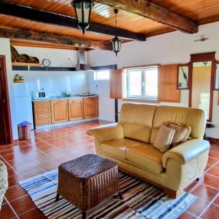 Casas Cor de Rosa - - 1