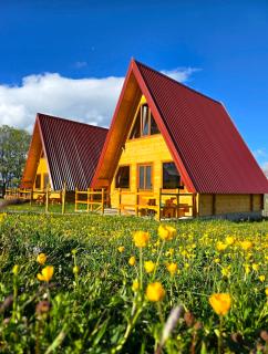 Domaćinstvo Krstajić - Rural holiday - Žabljak - 9