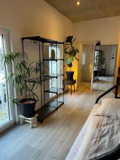 Neue, sehr moderne und zentrale Wohnung am See - Weißenstadt - 7