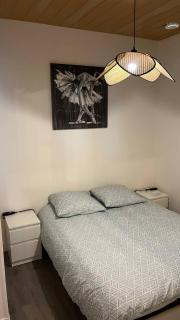 Joli F1 plein centre de la ville royale d EU - 3