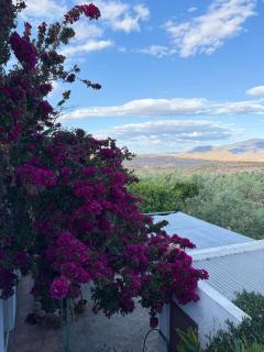 Cortijo Maya - Alhama de Almería - 2