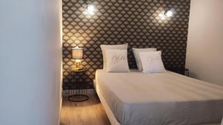 Mirabeau Sous Les Toits - Tours - Tours - 0