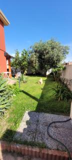 Kokky's Home - Su Forti - 0