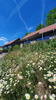 Odenwald-Lodge mit Infrarotsauna und E-Ladestation "Haus Purpur" - Reichelsheim - 8
