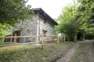 Il Nido nel Bosco - 0