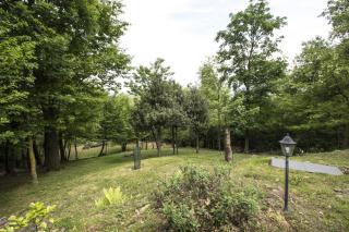 Il Nido nel Bosco - Montegrino Valtravaglia - 7