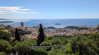Le Mas d'Angeline - Vue mer jardin commun parking voiture obligatoire 10min voiture Monaco route étroite pente raide croisement limité voir photos - Sea view shared garden parking car mandatory 10min car Monaco narrow steep road limited passing see photos - Beausoleil - 8