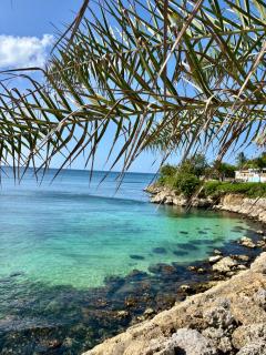 Gîte Tournesol - À 2 min de la plage et du bourg - Anse-Bertrand - 9