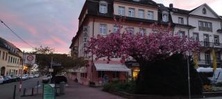 Hotel Schwert - Rastatt - 3