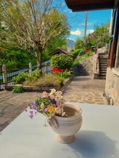 Mountain house with private garden - 8