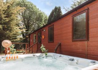 Herons Lake Retreat - Caerwys - 6