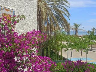Chalet adosado con jardín - Primera linea - Playa de Gandia - 7