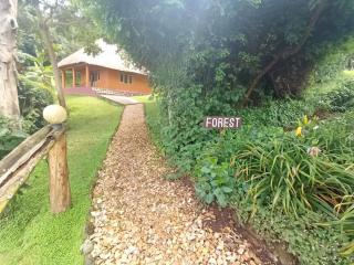 Chimpanzee Forest Lodge - Isunga - 1