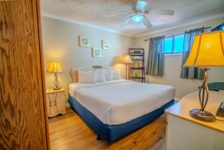 Cozy 1 Bedroom Oceanview Condo! City and Ocean Views! - Myrtle Beach - 8