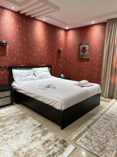 Stylish Premium Classic Apartment - Madinat as-Sadis min Uktubar - 8