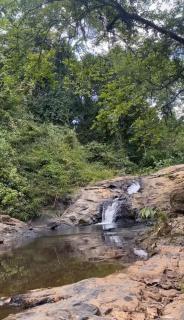 Venda da Minerva - 6